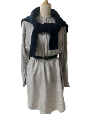 Everlane Black and White Striped Long-Sleeve Shirt Dress 100% silk sz 12 runs sm